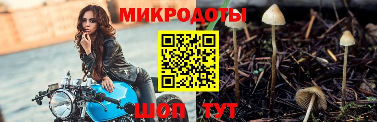Псилоцибиновые грибы Cubensis Кирово-Чепецк